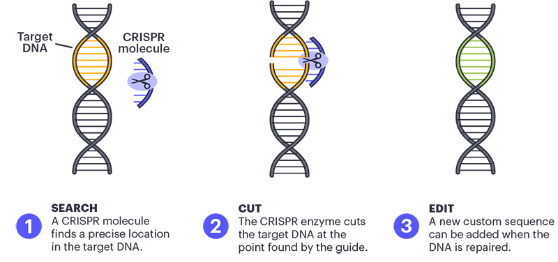 crispr