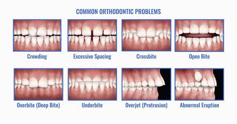 orthodontist